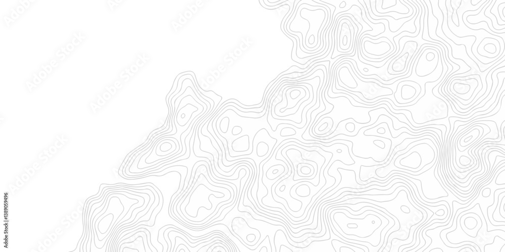 Poster abstract curve grid map and topo contour map on white background, topographic contour lines. seamles