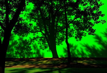 Dark tree shadows dappled on vibrant green screen, ample copy space, digital, nature