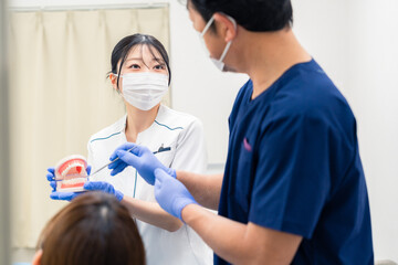 歯の模型を使って歯科治療の説明をする歯医者