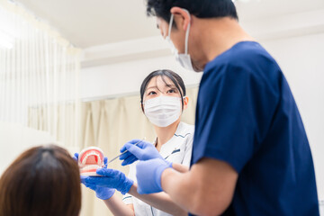 歯の模型を使って歯科治療の説明をする歯医者