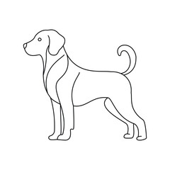 Dog Line Art Design The Graceful Canine
