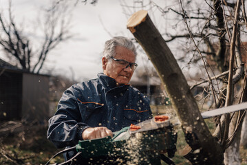 Senior gardener cutting branches with electric saw in orchard