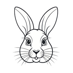 Fototapeta premium rabbit faces