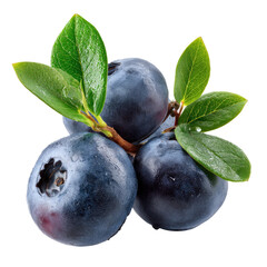 Obraz premium Fresh Blueberries with Leaves on transparent background, Perfect for Food Photography