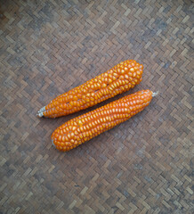 Dried corn used as natural chicken feed, rich in energy and protein