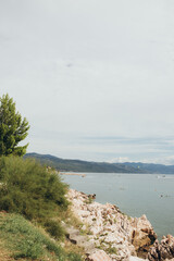 A rocky shoreline with a tree in the foreground and a body of water in the background