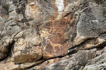 Rock paintings are found on the slopes of mountains in Central Asia. One of these is the Forty...
