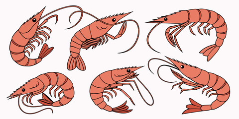 Cartoon Shrimp Illustrations - Red Seafood Prawns - Group of Shrimps - Food Image - Crustacean Graphics - Vector Art - Seafood Theme - Shrimp Collection - Seafood Clip Art Graphic
