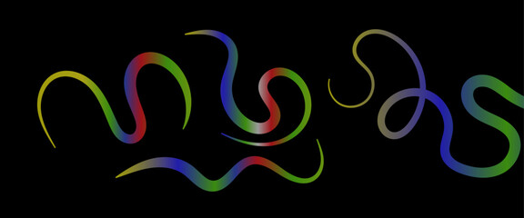 Abstract Lines with Color Gradient. Vector Squiggles Wave Shapes on a Black Background. Geometric Rainbow Ribbon.