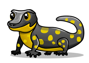 This is an illustration of a salamander