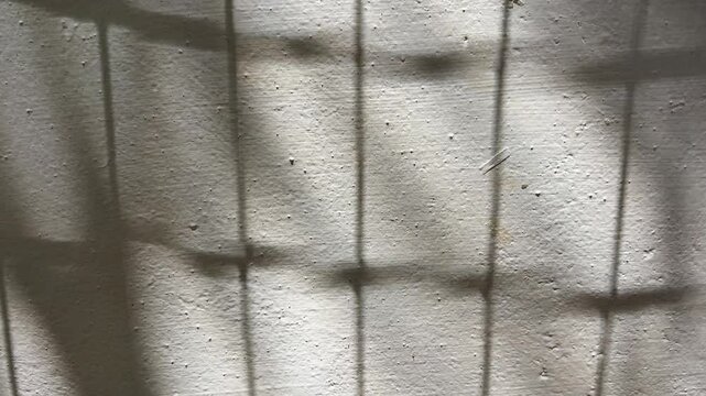 Moving shadows of a squre mesh falling on a wall