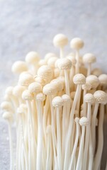 Close-up photo of white enoki mushrooms on a light grey background, macro photography, stock shot, stock photo.