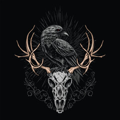 black raven standing on skull illustration