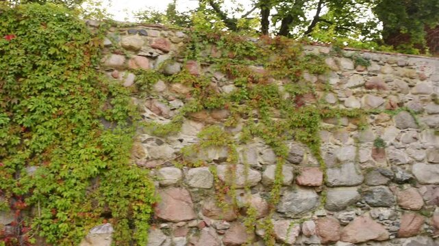 Teutonic castle in Sztum, Poland