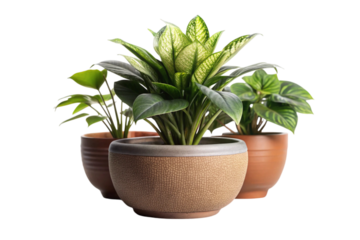 Planters enhance curb appeal instantly outdoors