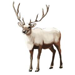 Obraz premium reindeer, animal, vector, transparent background