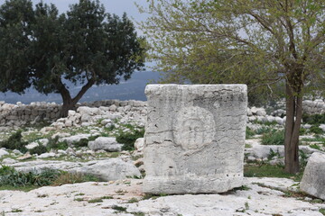 Fototapeta premium The Medusa relief is carved on the front of a stone sarcophagus in the ruins of Sakizlik in Saglikli neighborhood in Tarsus, Mersin (Turkey)