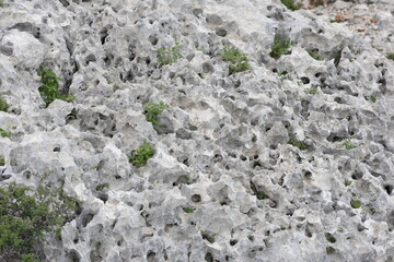 Spongy appearance of a rock with large holes