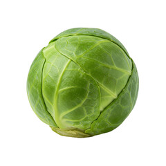 Fototapeta premium Brussels sprouts isolated on transparent or white background, png 