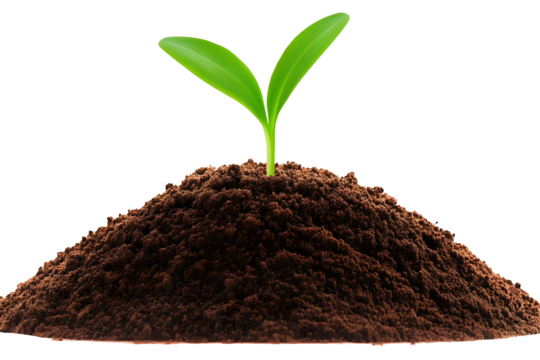 Isolated Realistic Illustration Of Young Green Plant Sprout on Brown Soil - Powered by Adobe