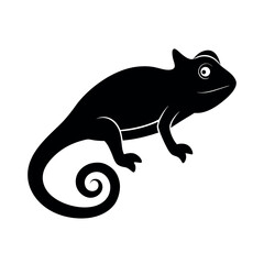 chameleon on white background