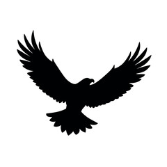 Fototapeta premium eagle in flight