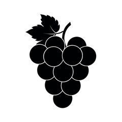 bunch of grapes vector illustration