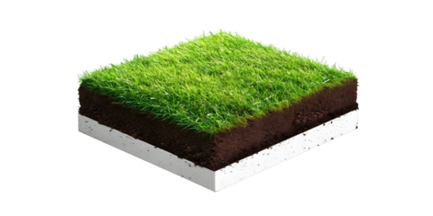 Isometric 3D Illustration Of Green Grass And Dark Soil Section On White Isolated Background