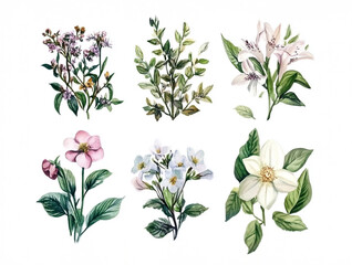 A set of watercolor floral bouquet, isolated on white background.