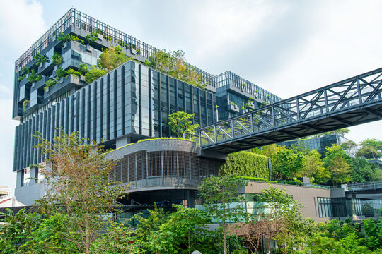 Modern eco-friendly glass office building with vertical garden and skywalk bridge in urban environment in Bangkok city, Thailand. Green architecture and sustainable design for reduce carbon dioxide