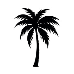 palm tree silhouette