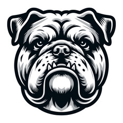 Bulldog vector and illustrations.