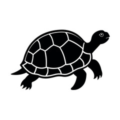 turtle vector illustration