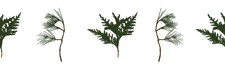 Leaves and branch border on a white background. Hand-drawn illustration. Perfect for spring and summer.