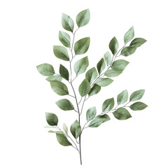 Naklejka premium Delicate, light-green leaves on a branch
