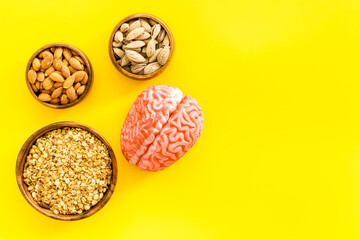 Human brain model with nuts and grain, top view. Healthy food for the brain