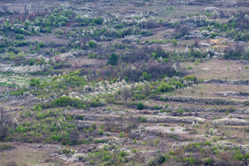 Closed landscape. A beautiful photograph of a closed landscape.

