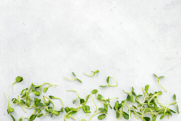 Fresh sprouting microgreens, top view. Sprouted peas seeds micro greens. Vegan food