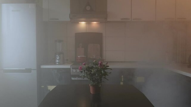 Dense smoke spreads through a kitchen, creating a hazardous atmosphere, while a small potted rose plant sits on the table as a stark contrast