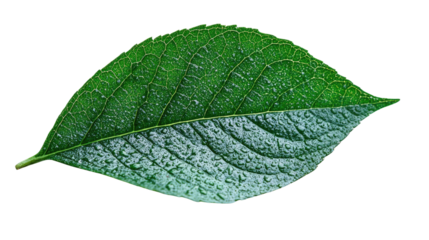 You've reached our limit of messages per hour Please try again later