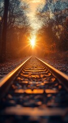 Sunlit Railroad Tracks Leading Through A Forested Landscape