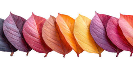 You've reached our limit of messages per hour Please try again later