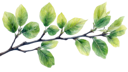 You've reached our limit of messages per hour Please try again later