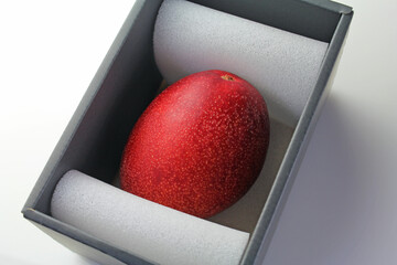 箱入りマンゴー