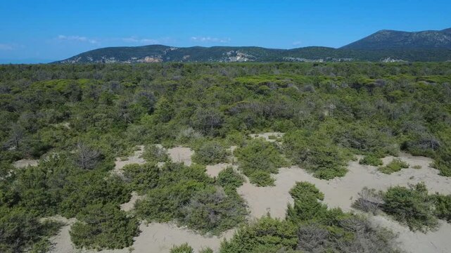 video, drone, vista panoramica, natura, natura selvaggia, panorama