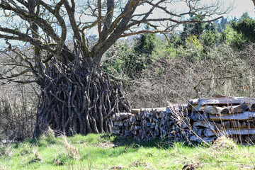 randonn&eacute;e en Auvergne