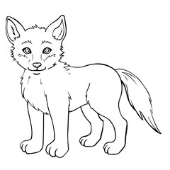 Obraz premium neugieriger Wolfswelpe 