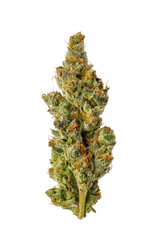 Dried Cannabis Nug on White Background