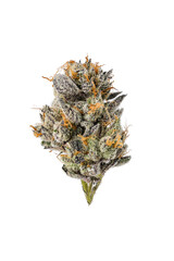Dried Cannabis Nug on White Background