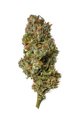 Dried Cannabis Nug on White Background